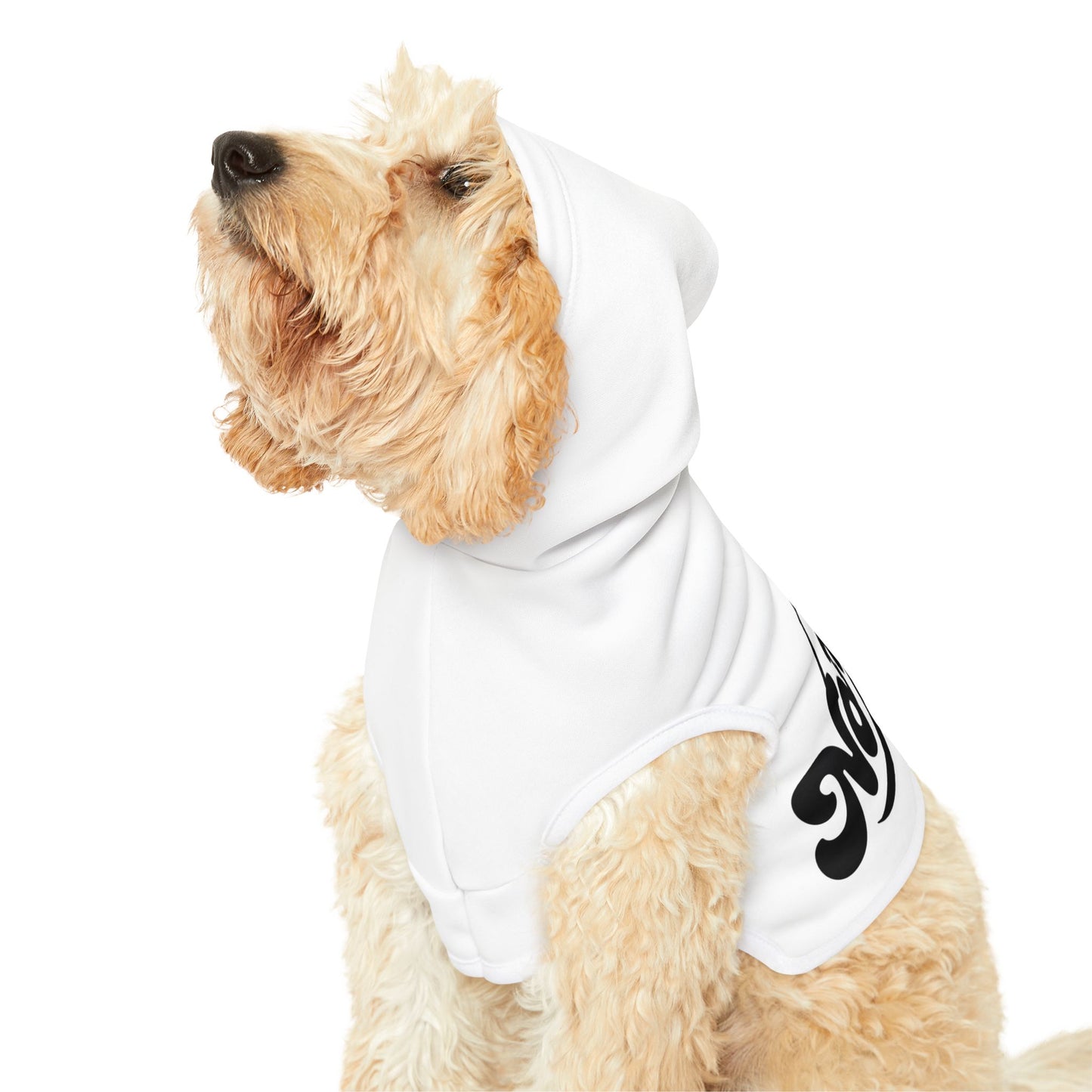 Pet Hoodie