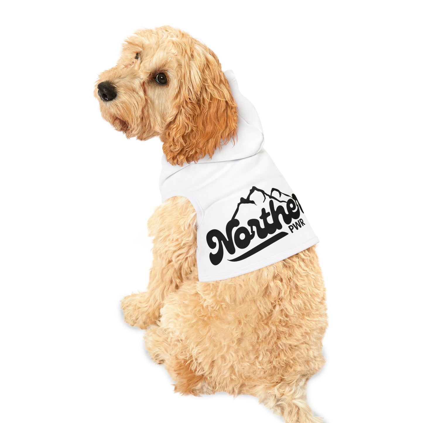 Pet Hoodie