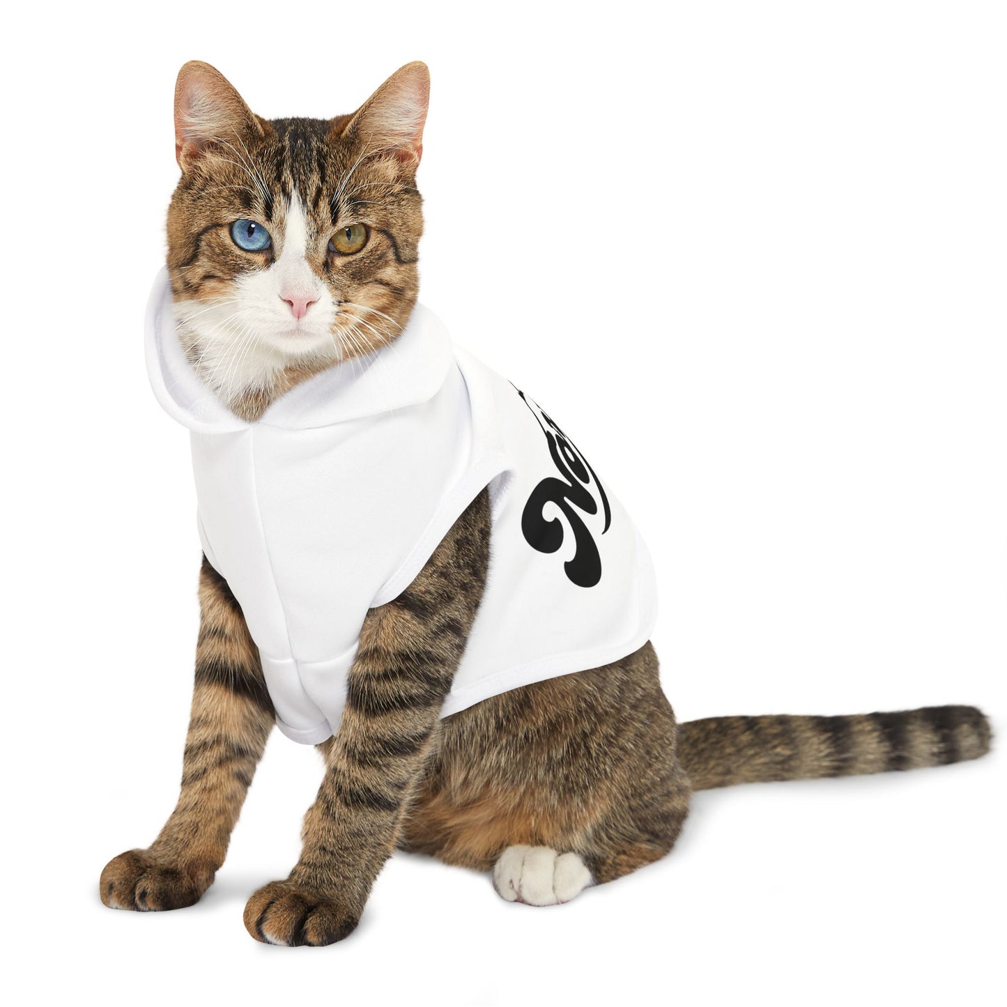 Pet Hoodie