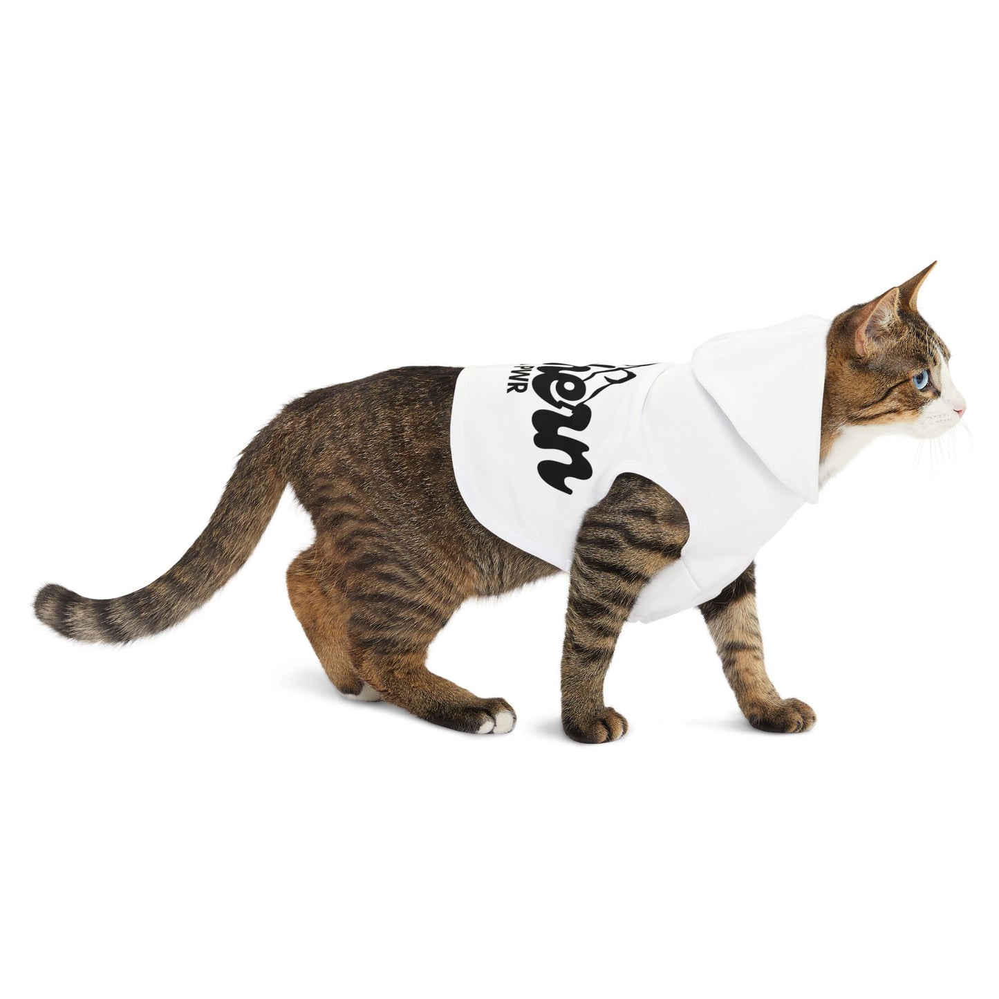 Pet Hoodie